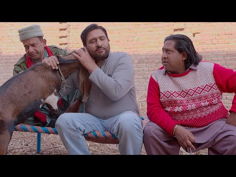 Rana Ijaz Ordered The Parcel From Bangladesh | Rana Ijaz Funny Video | Standup Comedy By Rana Ijaz