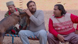 Rana Ijaz Ordered The Parcel From Bangladesh | Rana Ijaz Funny Video | Standup Comedy By Rana Ijaz