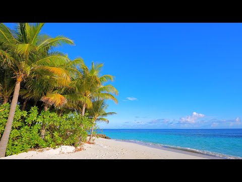 Gentle Waves on The Luxury Beach in Maldives. Ocean Ambience 4K