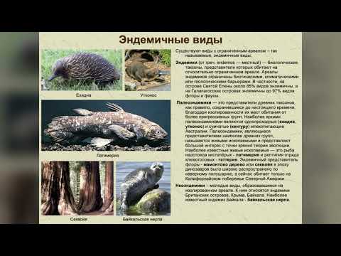 Эндемики