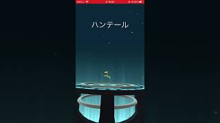 パールル、どっちに進化❓❓❓