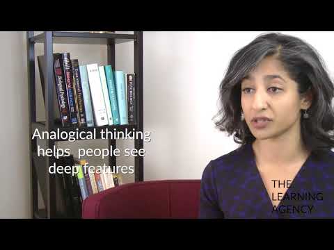 A Conversation with Pooja Agarwal on Analogical Thinking