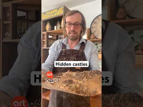 🏰Uli Kirchler’s Hidden Castles: Where Nature Meets Craft🌳 #OregonArtBeat