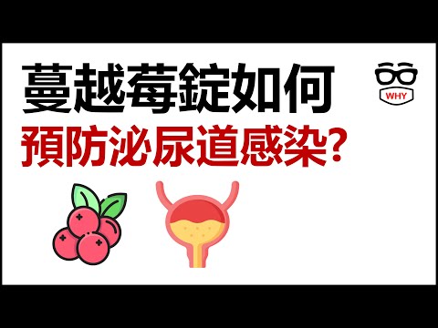 泌尿道感染的最佳解藥？蔓越梅療效大揭密