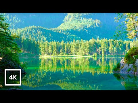 4K UHD Mountain Lake Tranquility and Forest Birdsong | Relaxing Nature Ambience for Sleep
