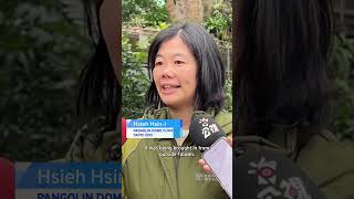 Taipei Zoo Welcomes Five New Bush Babies | TaiwanPlus News