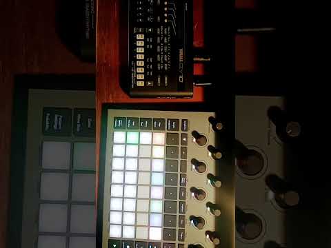 Novation #circuitrhythm controlling an old Yamaha #qy10.