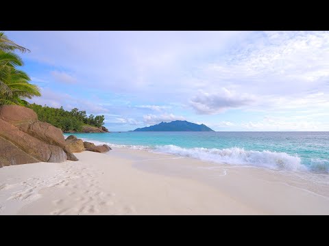 🏝 Paradise Found: Seychelles Beach and Crystal Turquoise Waters. Ocean 4K Ultra HD