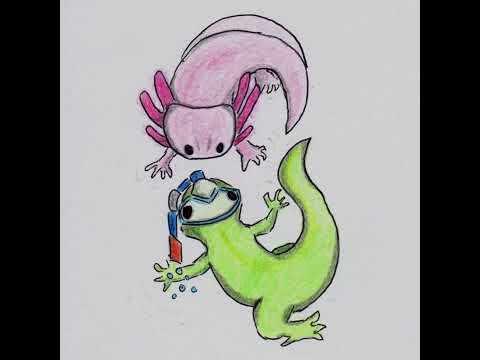 Phelsuma Buceus