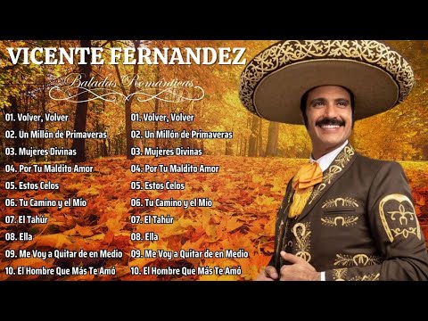 VICENTE FERNANDEZ - VICENTE FERNANDEZ SUS MEJORES EXITOS