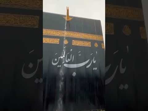 یارب العالمین | #یارب #العالمین #امام_زمان