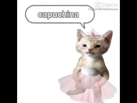 BALLERINA CAPPUCHINA ib:🧍🏼‍♀️(gods version) on cap #cat #givemebackmykids #idkwhattoputhere