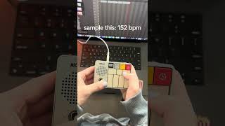 crazy new pocket synth 2025 #flstudio