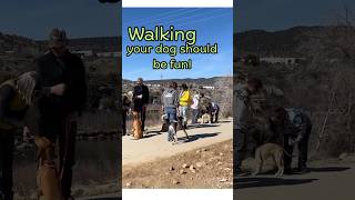 Walking should be fun! #dogsrock #pranadogs #dogtraining #dogwalking #lpchs