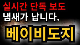 [베이비도지 코인 전망] ◆실시간 단독 보도◆ 냄새가 납니다.
