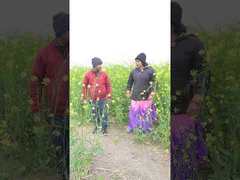 चलिना सरसोइया मैं#video#bhojpury#