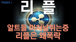 리플전망 [대응전략] 초급등차트로 갈 수 있을까??