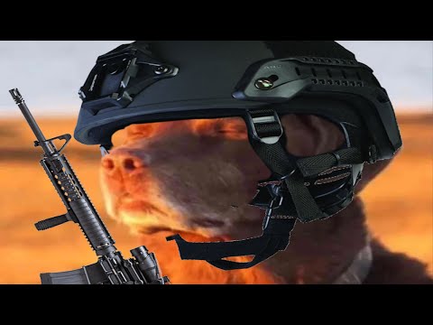 stealthing in brm5