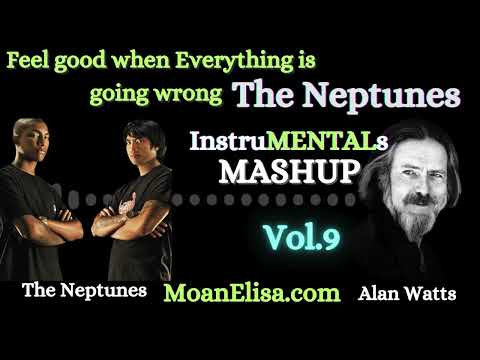 The Neptunes  I Alan Watts InstruMENTALs Mashup  Vol 9