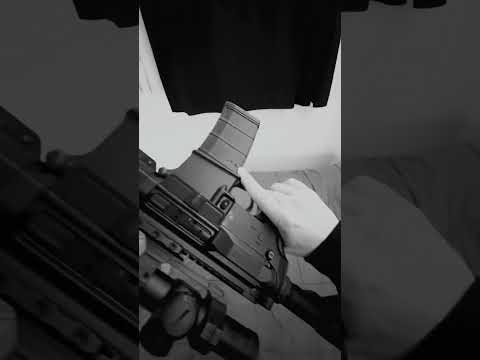 FN 15 Guardian AR-15