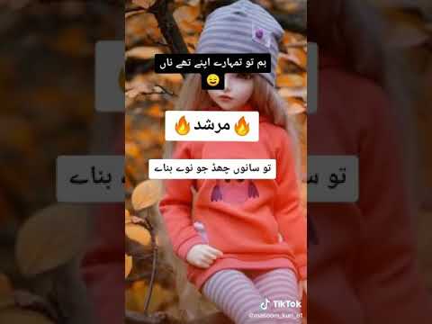 Murshad Status  2020