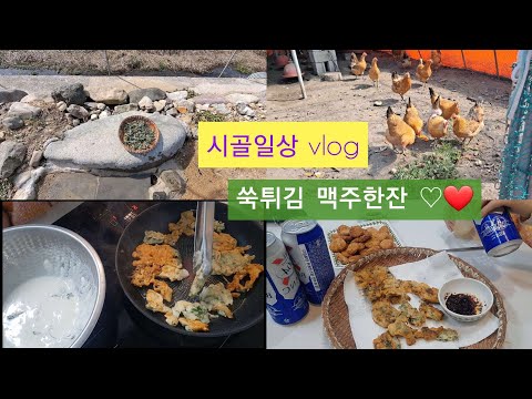 시골일상 봄나물 쑥부침개 맥주먹방 토종닭 모이주기 #시골여자 #시골일상 #시골브이로그