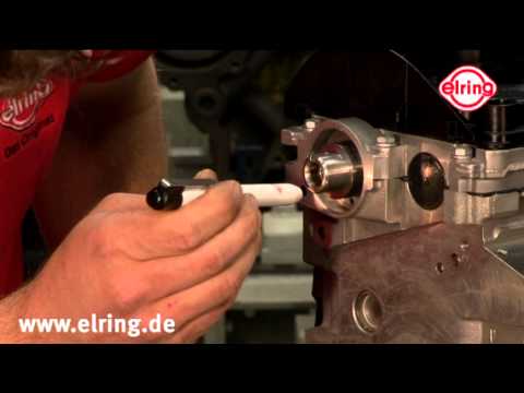 PTFE/FPM Radialwellendichtringe - fachgerechte Montage  | PTFE/FPM Oil Seals Professional Assembly