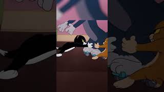 Cuddly Kittens or Roller Skating Chaos? 🐱🛼 #TomandJerry #ClassicCartoons #Cartoonito #shorts