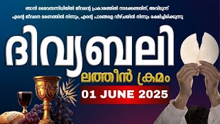 ദിവ്യബലി 🙏🏻 JUNE 01, 2025 🙏🏻മലയാളം ദിവ്യബലി - ലത്തീൻ ക്രമം🙏🏻 Holy Mass Malayalam