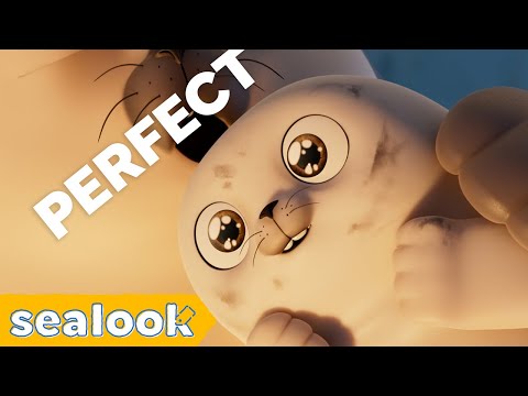 SEALOOK’s Moody Mood Board | How are you feeling Today? | SEALOOK Compilation