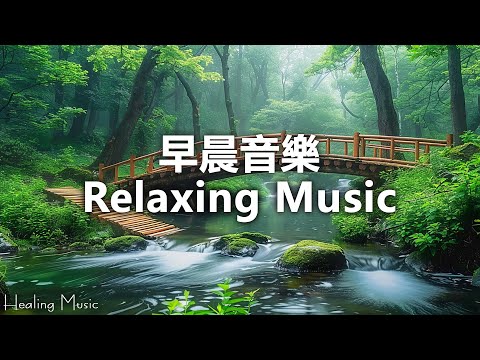 【100%無廣告音樂】平靜舒心的音樂，迅間消除壓力及焦慮，給你舒暢心情，忘記所有不安情緒，過慮生活煩惱，提升睡眠品質 Music for Stress Relief & Sleeping