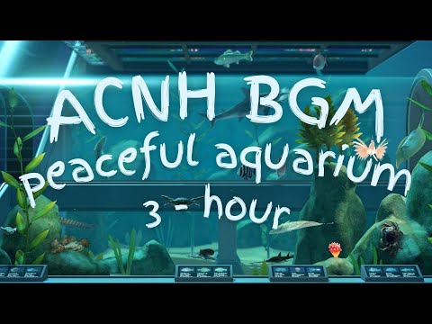🐠 calm aquarium ambience | peaceful aquarium sounds for studying, working, and relaxing | 🎧3 hour