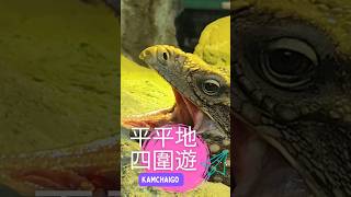 香港好去處 | 拍拖好去處  | 親子好去處 | 屯門景點 | 假日好去處