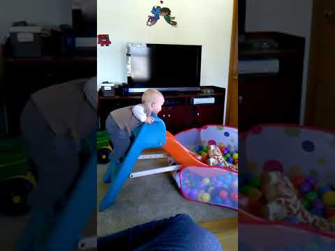 Elam gets his giraffe