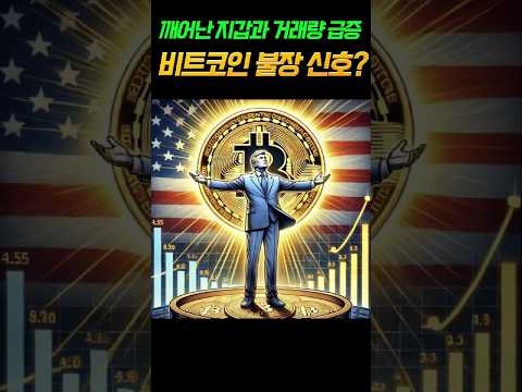 [비트코인] 스탠다드차타드 2억까지 목표가 상향 기관 거래량급증 고래지갑 대이동 #비트코인 #리플 #도지코인 #이더리움