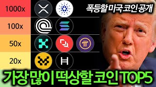 올해 미국 코인 대불장에 폭등할 코인 TOP5 총정리