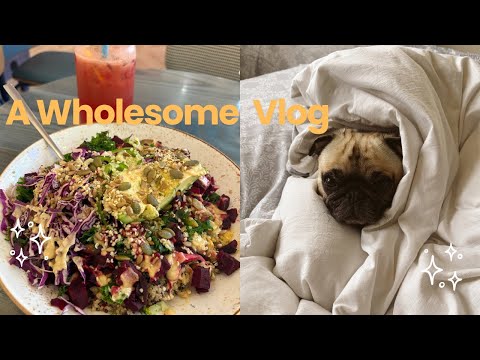 A Wholesome Day: Offsite Work & Lhakar Vibes | Tibetan Vlogger