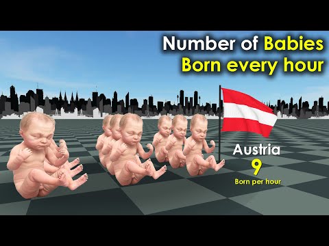 Number of Babies Born every hour