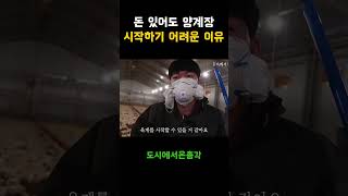 양계장은 돈있어도 못해요..!