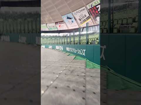 すとふぇすの会場ベルーナドームを全力で走ってみたwwww #shorts