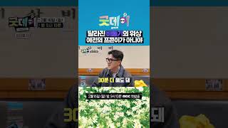 10년만에 모인 레전드 조합ㅋㅋㅋ #지디 #형돈 #데프콘 #굿데이