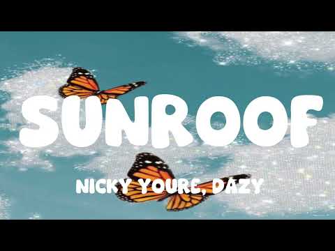 Nicky Youre, dazy - Sunroof (Lyrics)