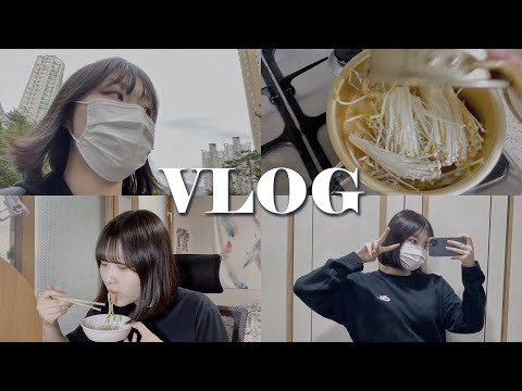 【JPN】 그냥 찍어본 브이로그 | 대학 원서접수 | 韓国高校生ブイログ