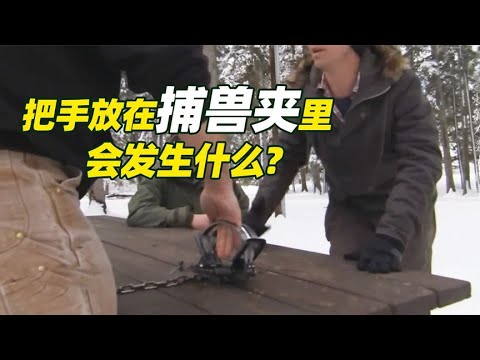 把手放在捕兽夹里会发生什么