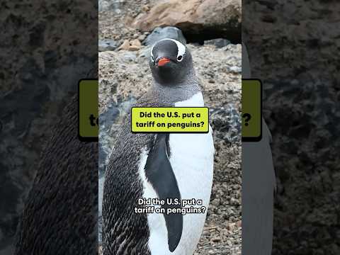 Did the U.S. put a tariff on penguins?