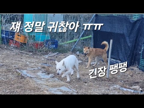 아유ᆢ 귀찮아ᆢ 저리꺼져줄래?