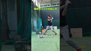 理想のバットの出し方 #バッティング #野球
