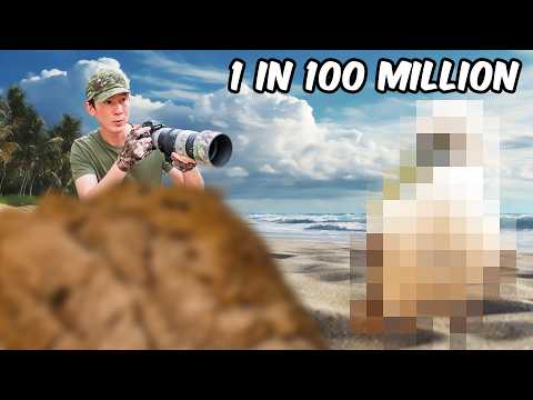 I Discovered a Bird that 0.000001% of Birders Find!