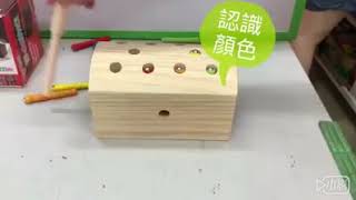 AWA DN 516 原木色抓蟲遊戲/智力系列木製玩具/亞細亞Toys家族