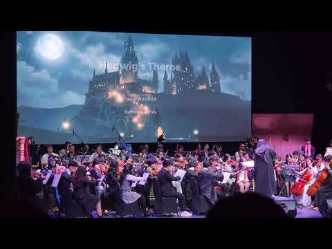 Hedwig's Theme - Harry Potter and The Sorcerer's Stone, The Legend 10: Magic, TRUST Orchestra, 2024